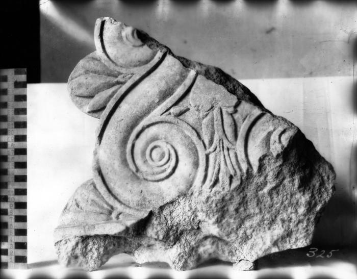 Fragment of Anthemion